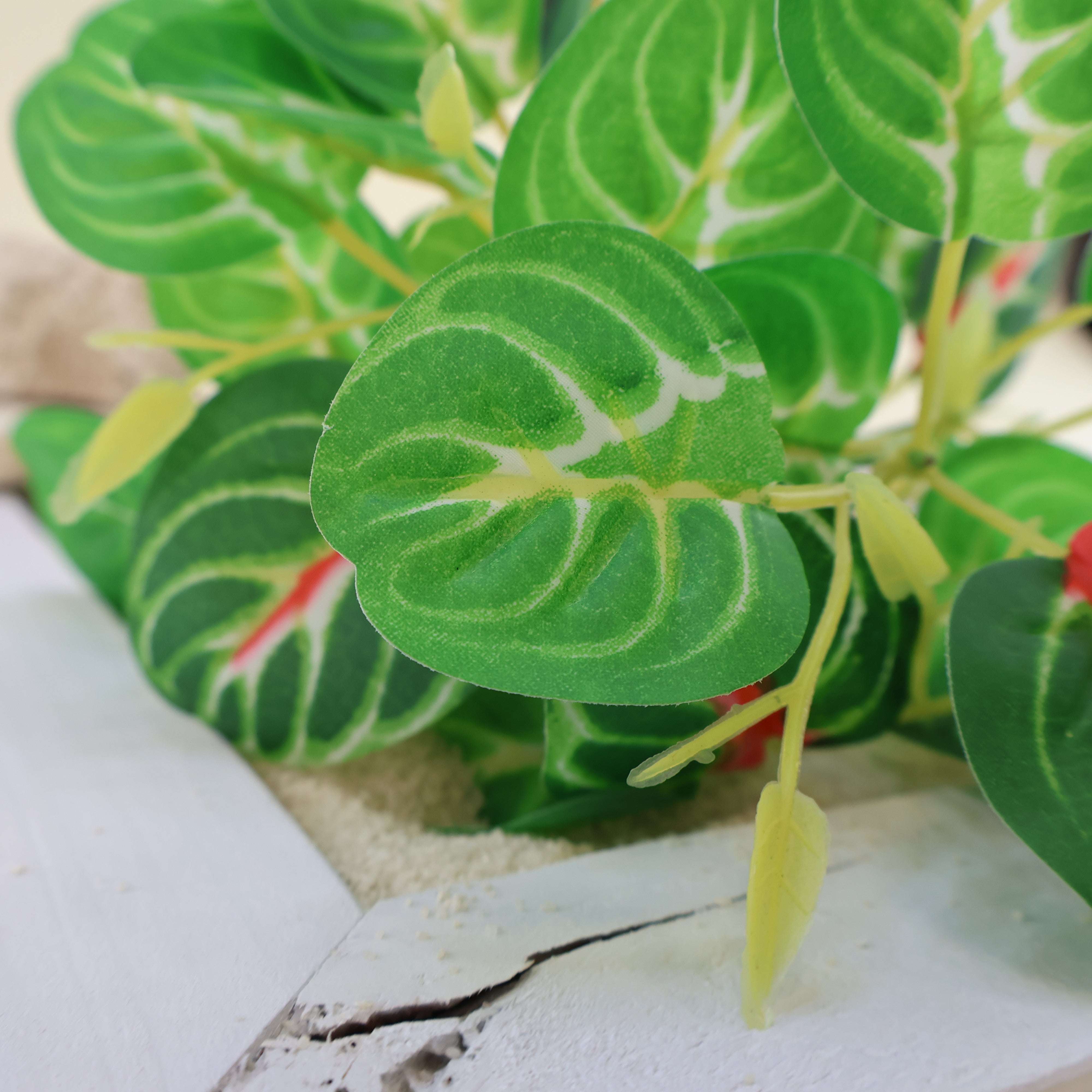 Makroaufnahme einer künstlichen Grünpflanze mit herzförmigem Blatt in frischem Hellgrün und feiner, natürlicher Blattzeichnung. Die Kunstpflanze ist dekorativ auf hellem Sand in einem weißen Holztablett arrangiert und zeigt ihre detailreiche Oberflächenstruktur aus nächster Nähe.