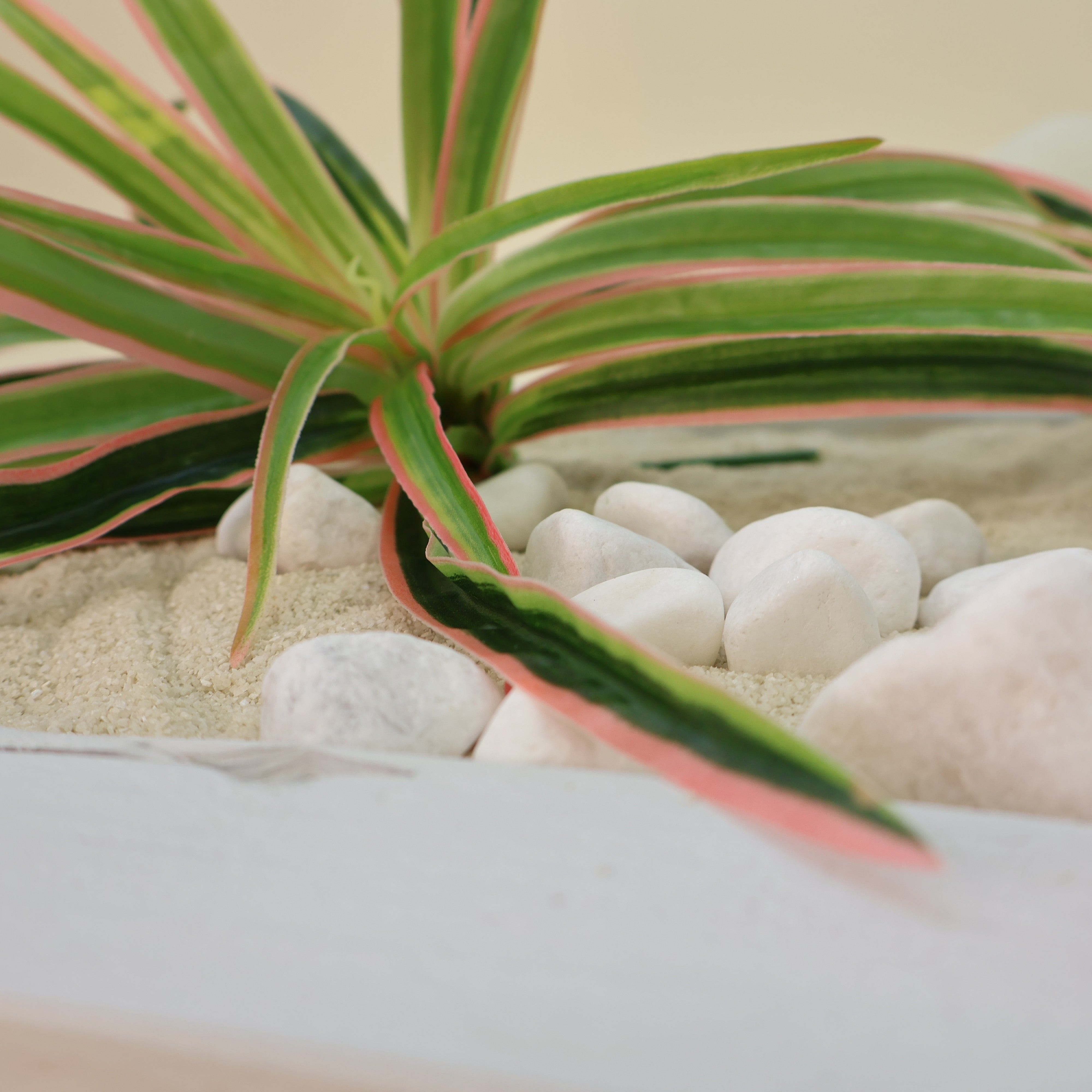 Detailaufnahme künstlicher Grünpflanze mit langen schmalen Blättern in Grün mit hellen und rosafarbenen Akzenten, dekorativ arrangiert mit weißem Sand und weißen Dekosteinen.