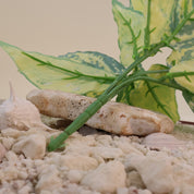 Dieffenbachia seguine `Vesuvius` | Künstliche Dekopflanze für moderne Wohnraumdekoration