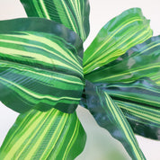Calathea 'Beauty Star' | Künstliche Dekopflanze für moderne Wohnraumdekoration