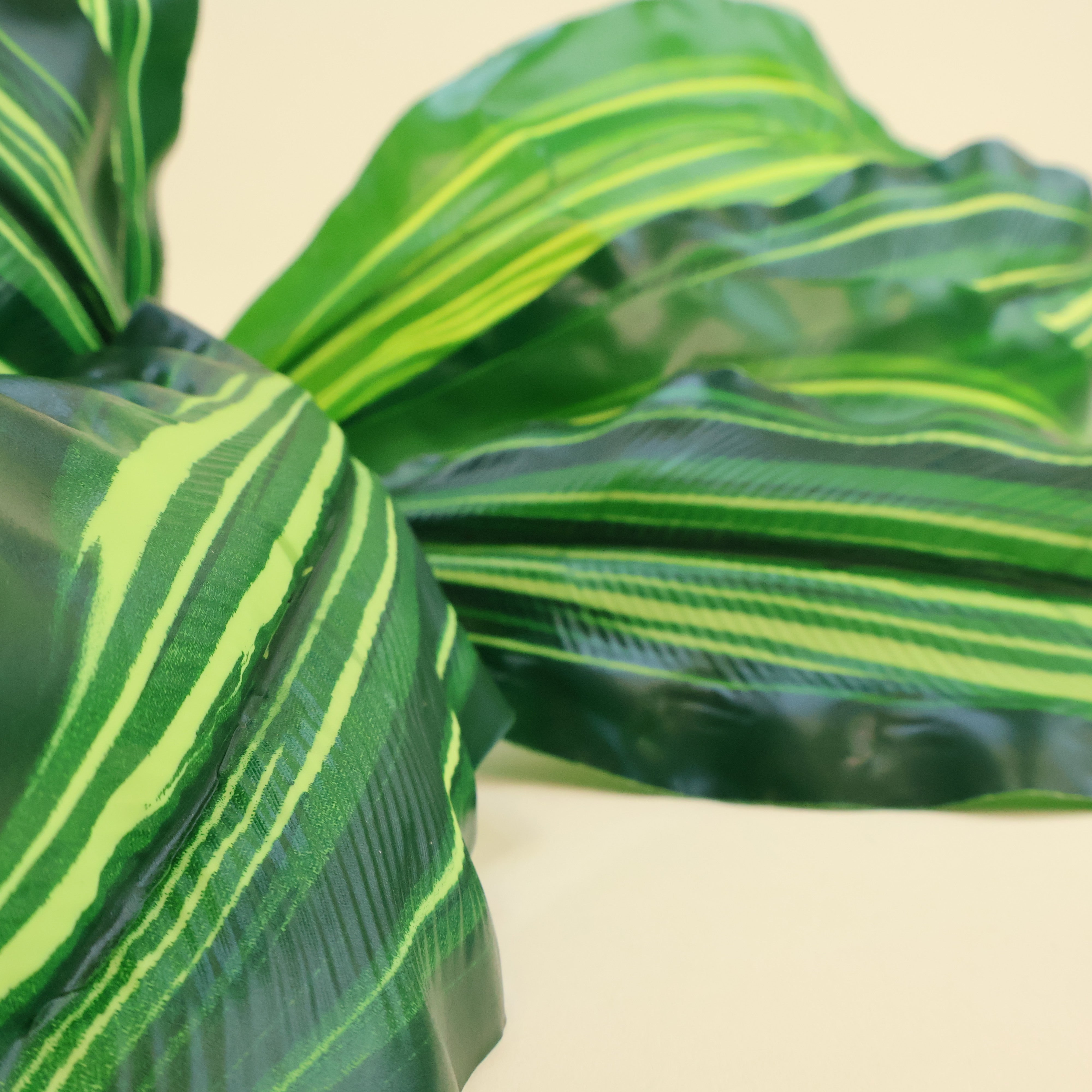 Calathea 'Beauty Star' | Künstliche Dekopflanze für moderne Wohnraumdekoration