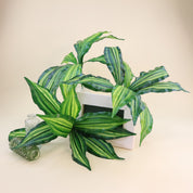 Calathea 'Beauty Star' | Künstliche Dekopflanze für moderne Wohnraumdekoration