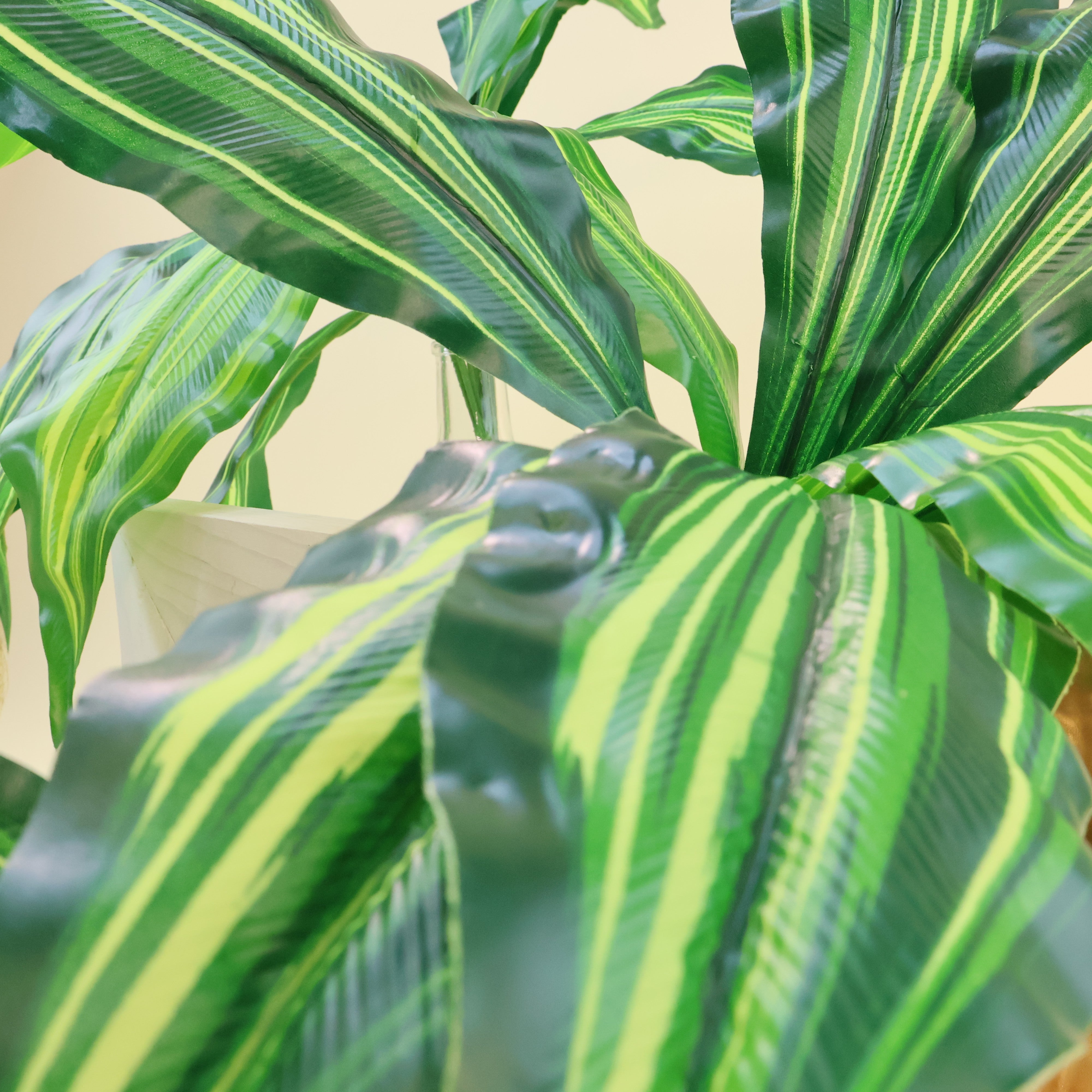 Calathea 'Beauty Star' | Künstliche Dekopflanze für moderne Wohnraumdekoration