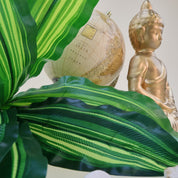 Calathea 'Beauty Star' | Künstliche Dekopflanze für moderne Wohnraumdekoration