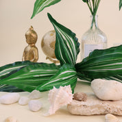 Calathea vittata | Künstliche Dekopflanze für moderne Wohnraumdekoration
