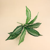 Calathea vittata | Künstliche Dekopflanze für moderne Wohnraumdekoration