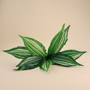 Calathea vittata | Künstliche Dekopflanze für moderne Wohnraumdekoration