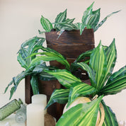 Calathea vittata | Künstliche Dekopflanze für moderne Wohnraumdekoration