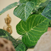 Anthurium clarinervium | Künstliche Dekopflanze für moderne Wohnraumdekoration