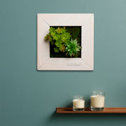 TinyFrame mit künstl. Sukkulenten im weißen Holzrahmen