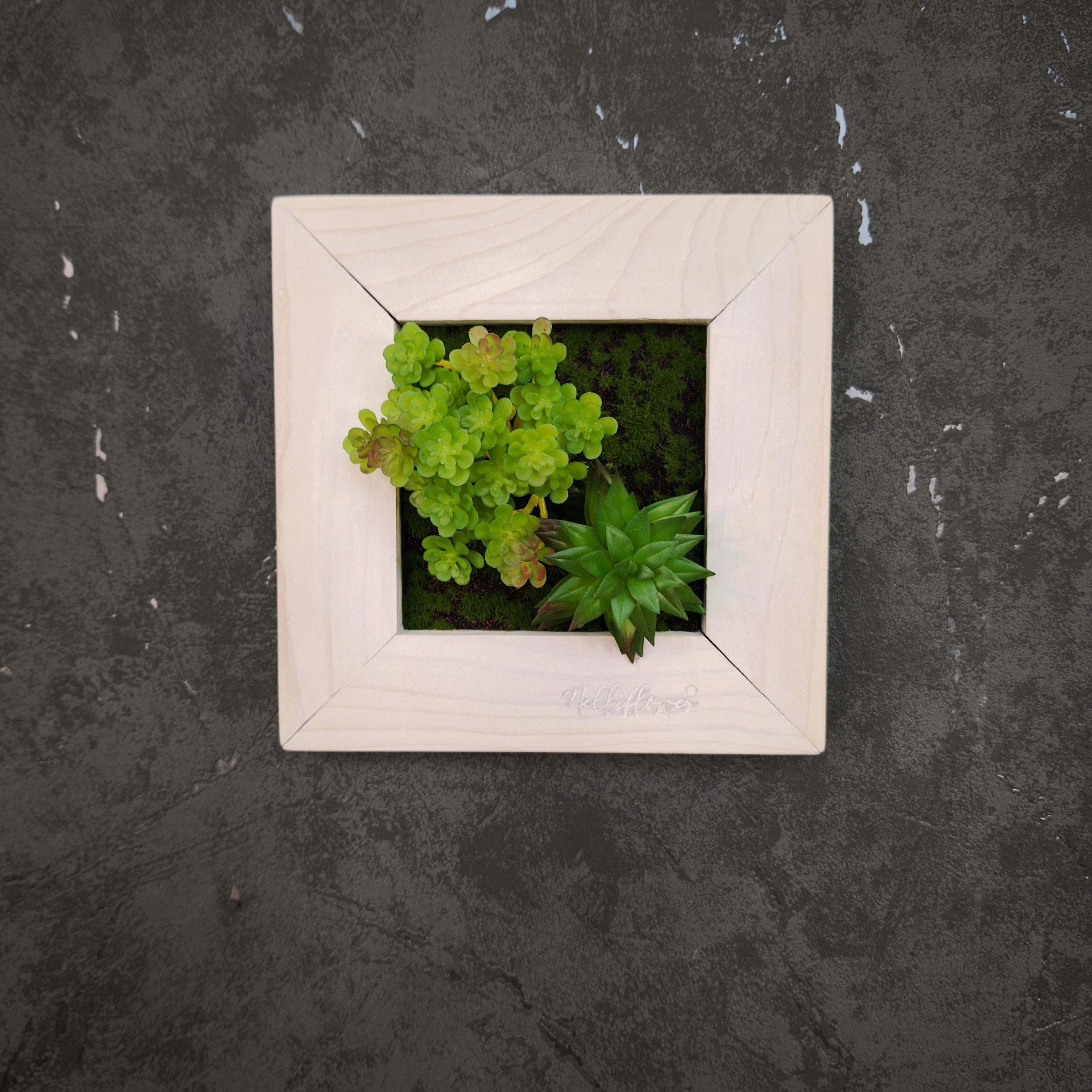 TinyFrame Pflanzenbild mit künstl. Sukkulenten im weißen Holzrahmen