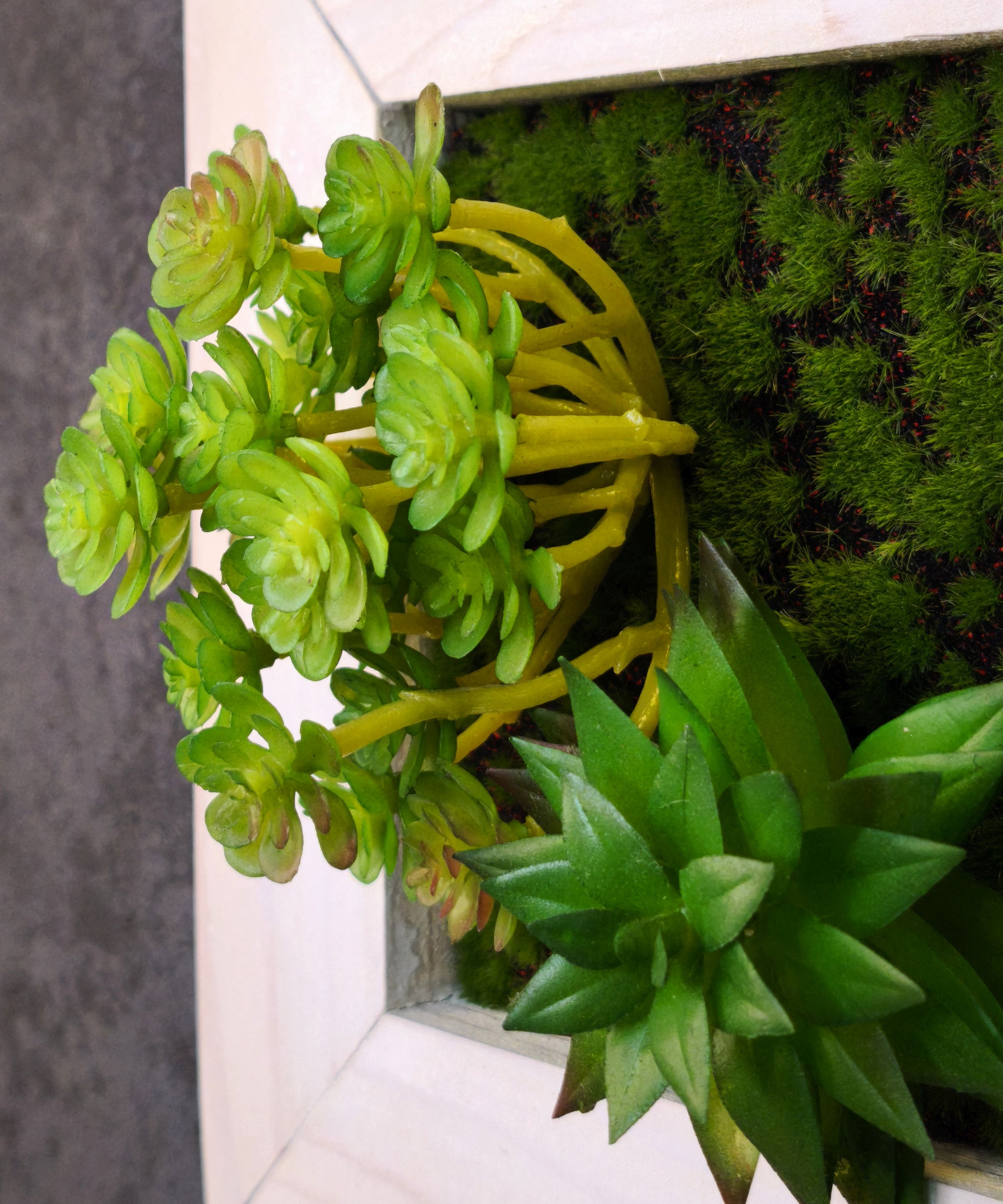 Detailaufnahme Pflanzenbild mit künstlichen Sukkulenten und Moos in weißen Holzrahmen