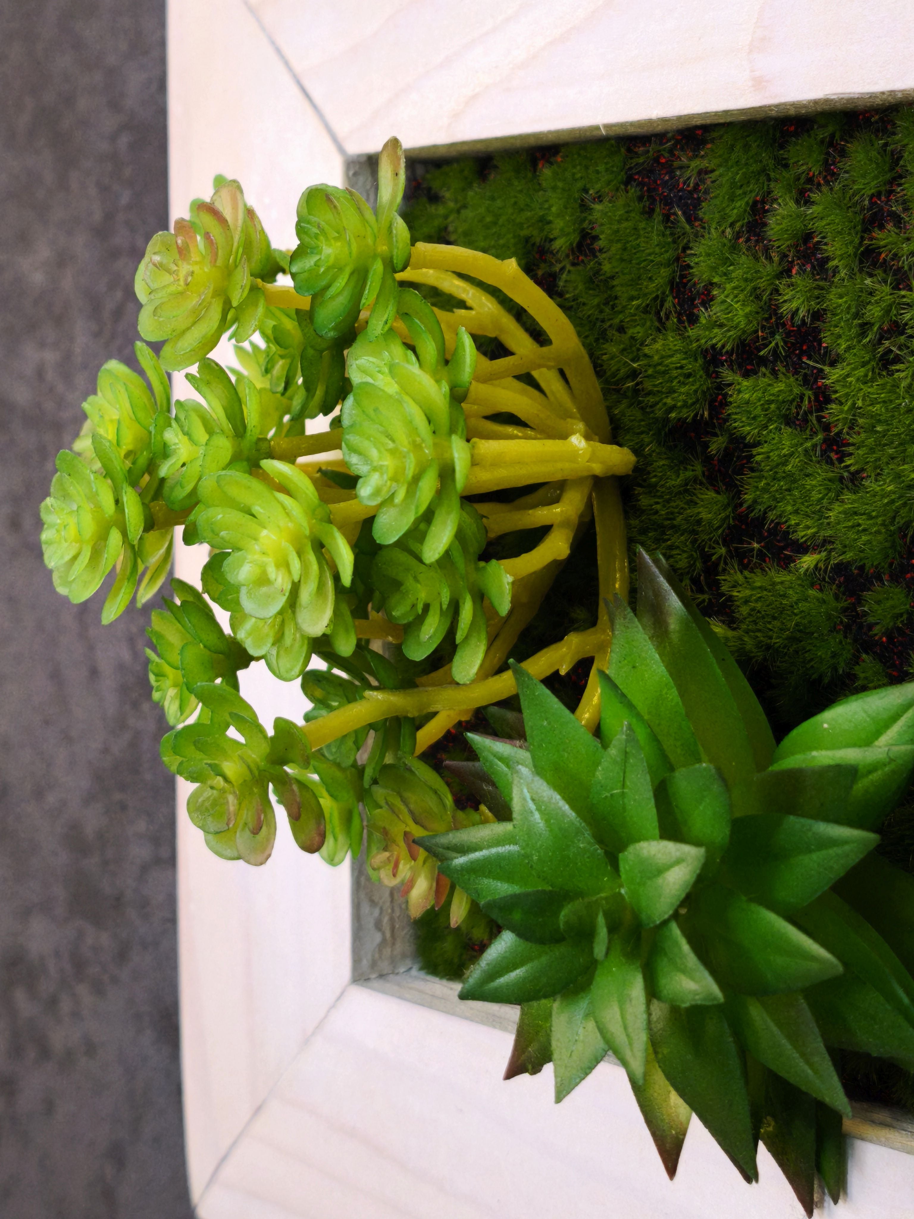 Detailaufnahme Pflanzenbild mit künstlichen Sukkulenten und Moos in weißen Holzrahmen