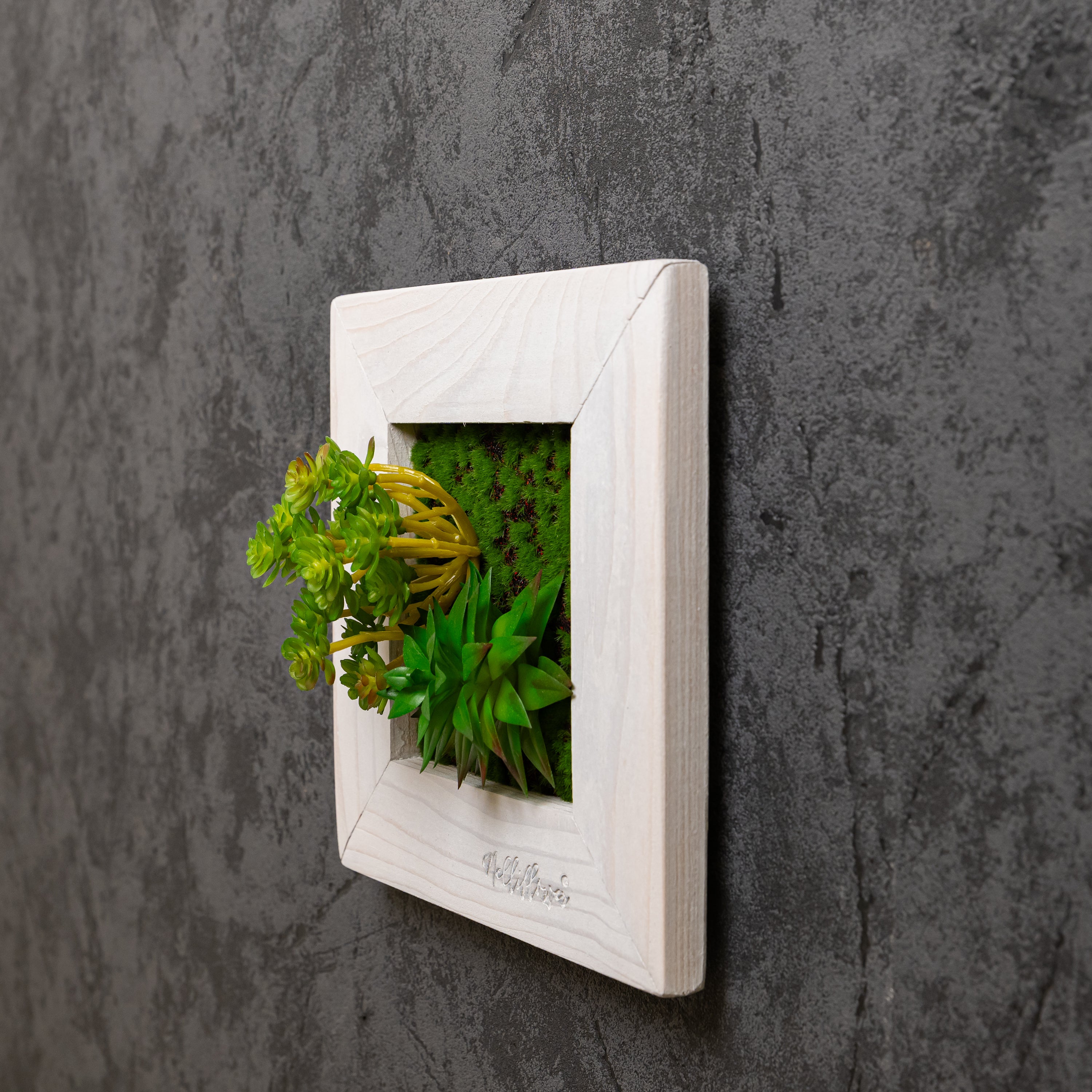 Seitliche Aufnahme vonTinyFrame Solana mit künstl.  Sukkulenten im weißen Holzrahmen