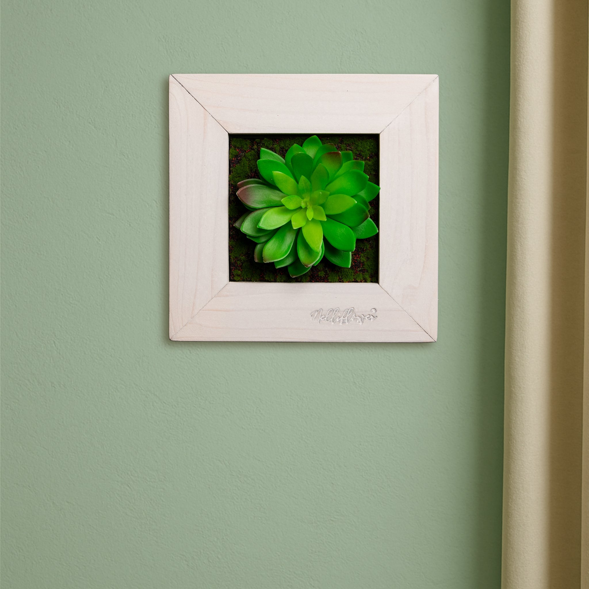 Quadratisches Sukkulentenbild mit Moos im weißen Holzrahmen