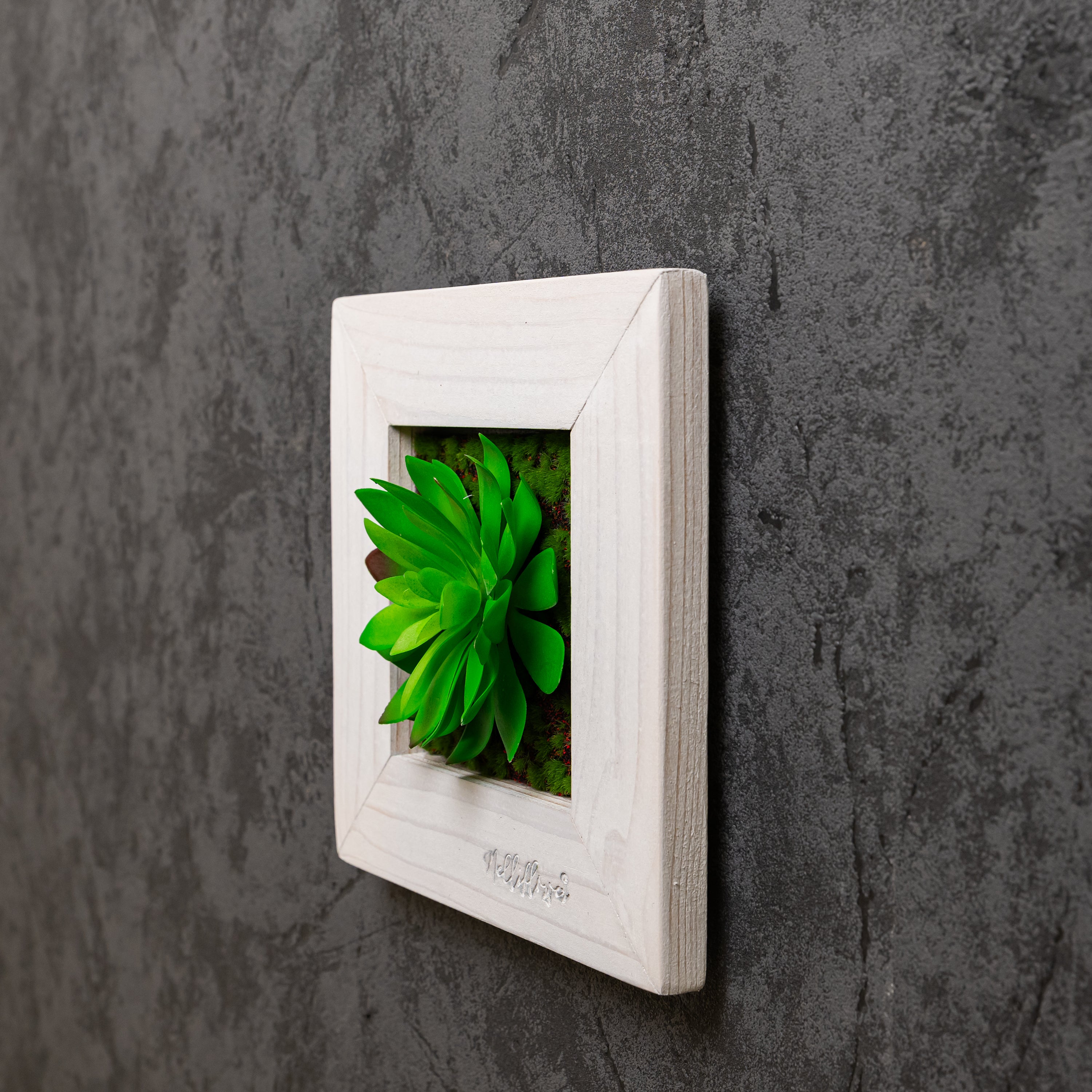 TinyFrame Solana mit künstl. Sukkulente im weißen Holzrahmen