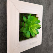 TinyFrame Solana mit künstl. Sukkulenten im weißen Holzrahmen
