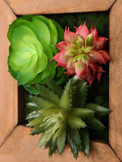 Tiny Frame „Mira“ - Zarte Sukkulentenharmonie im Miniaturformat