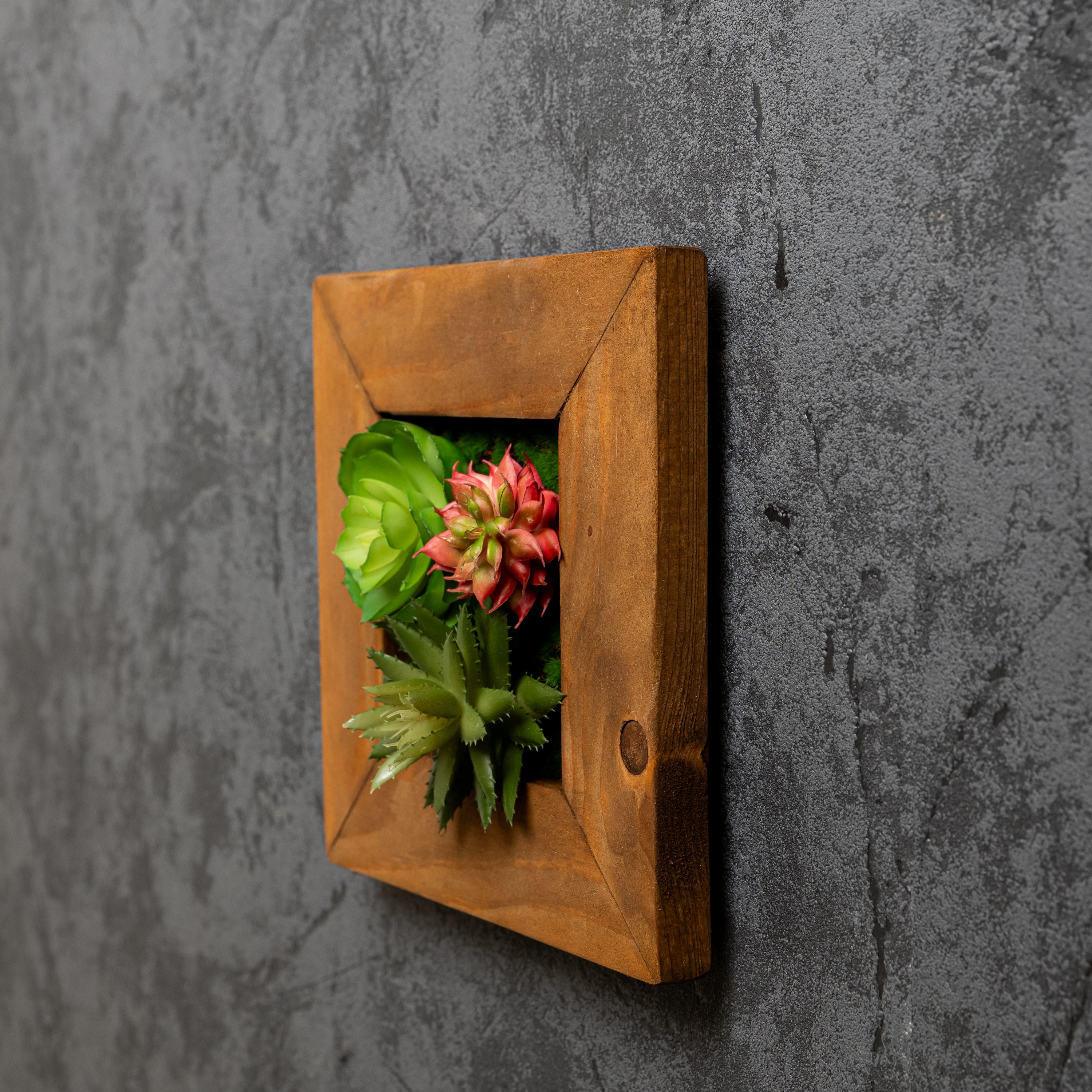 Tiny Frame Pflanzenbild mit künstl. Sukkulenten im braunen Holzrahmen vor Betonwand