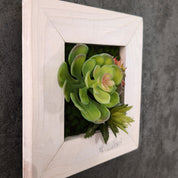 TinyFrame mit künstl. Sukkulenten im weißen Holzrahmen an Betonwand