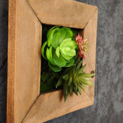 Kleines Pflanzenbild im Holzrahmen mit Sukkulenten im braunen Holzrahmen