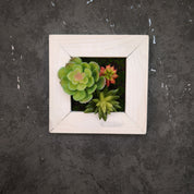 TinyFrame mit künstlichen Sukkulenten im weißen Holzrahmen