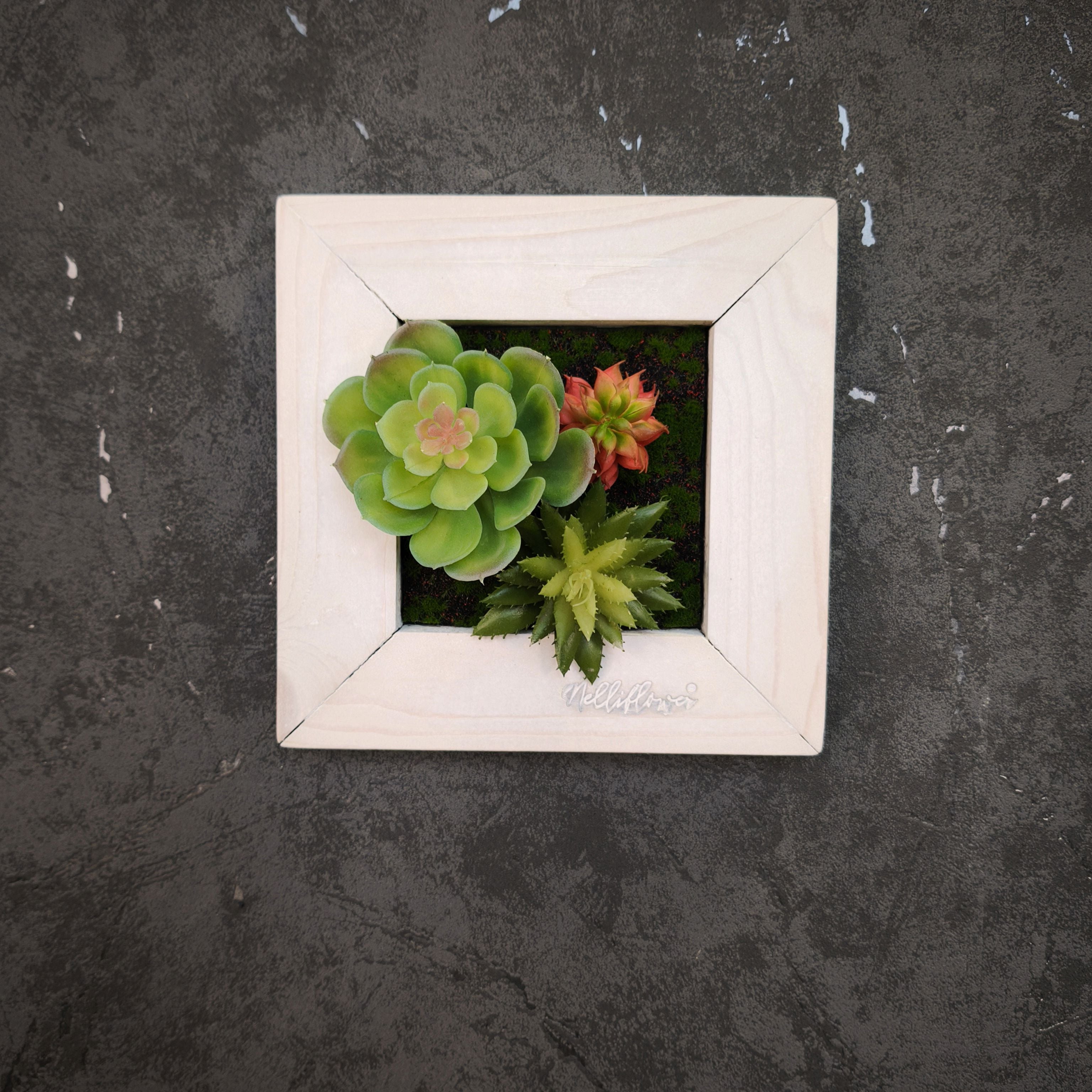 TinyFrame mit künstlichen Sukkulenten im weißen Holzrahmen
