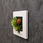 TinyFrame mit künstlichen Sukkulenten im weißen Holzrahmen