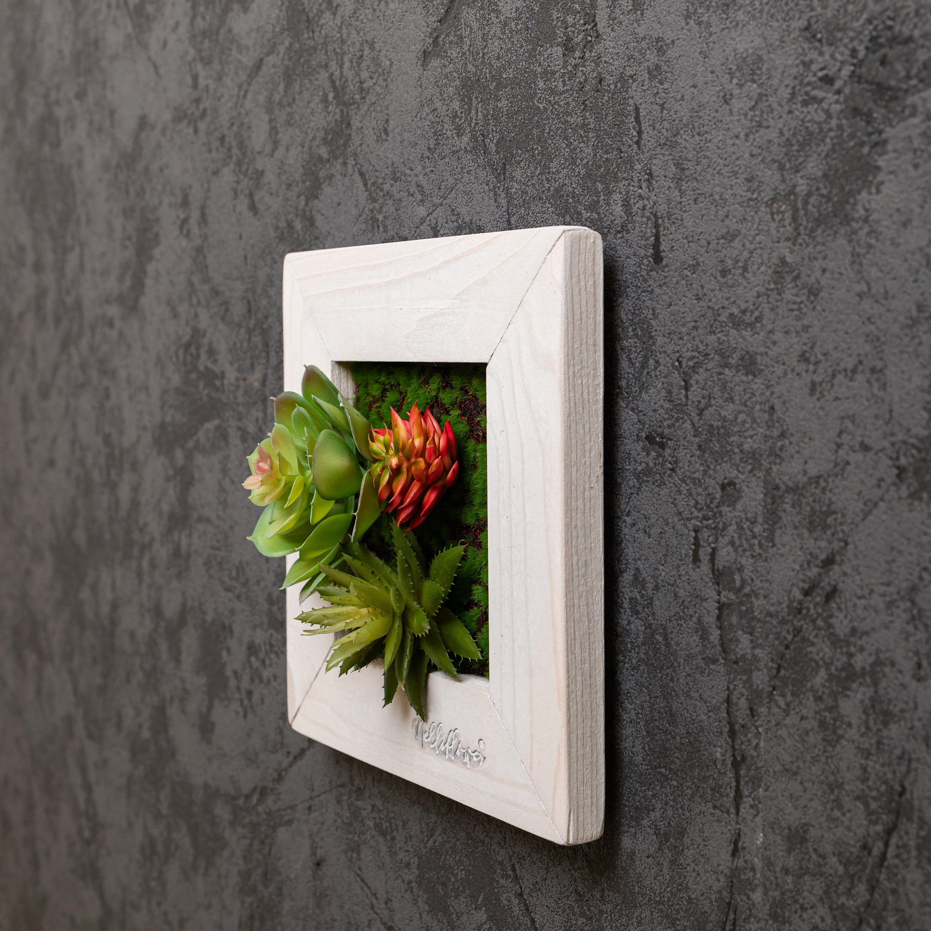 TinyFrame mit künstlichen Sukkulenten im weißen Holzrahmen