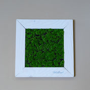 Tiny Frame Myra, künstliches Moosbild in weißen Holzrahmen