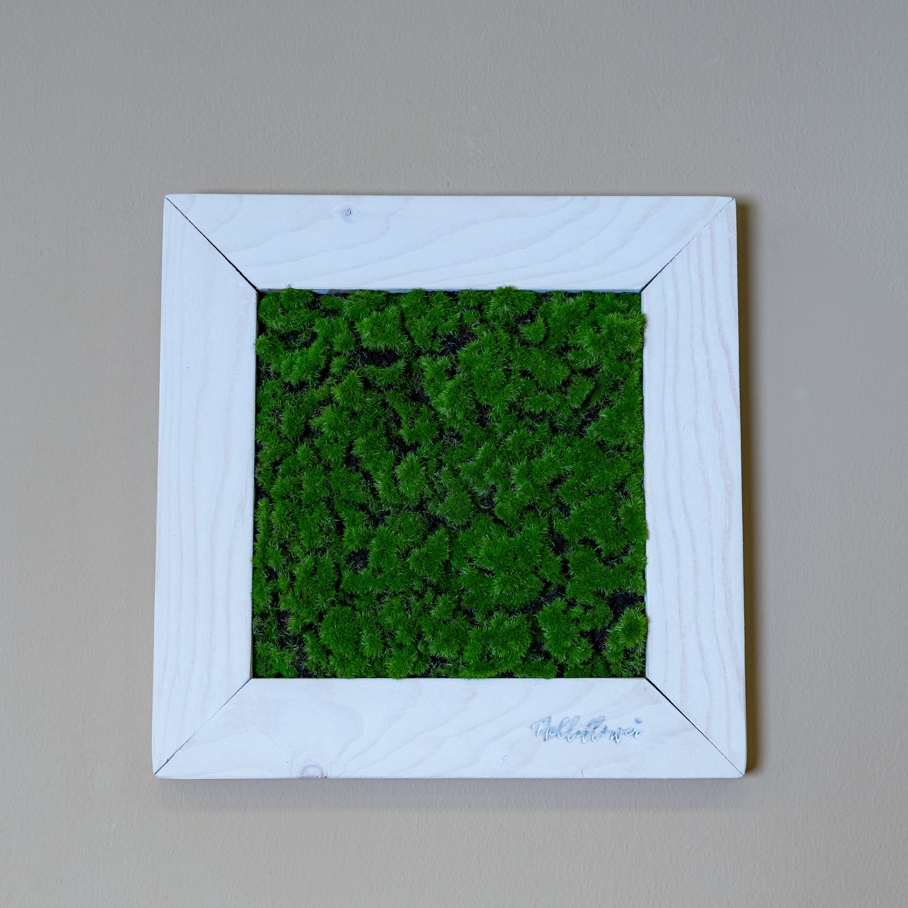 Tiny Frame Myra, künstliches Moosbild in weißen Holzrahmen