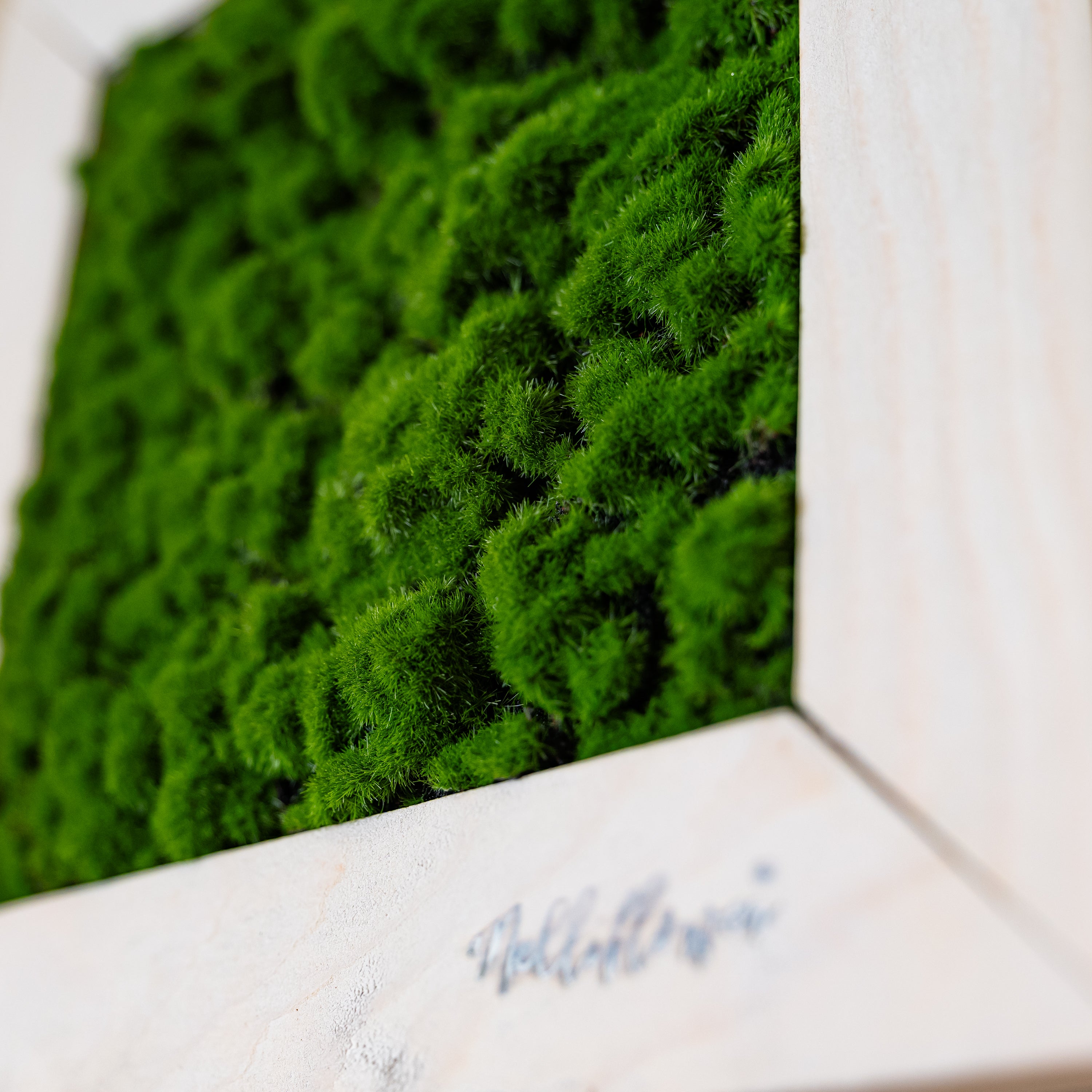 Nahaufnahme Myra mit Logo in weißen Holzrahmen