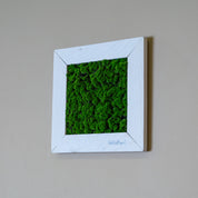 Tiny Frame Myra mit künslichen Moos in weißen Holzrahmen