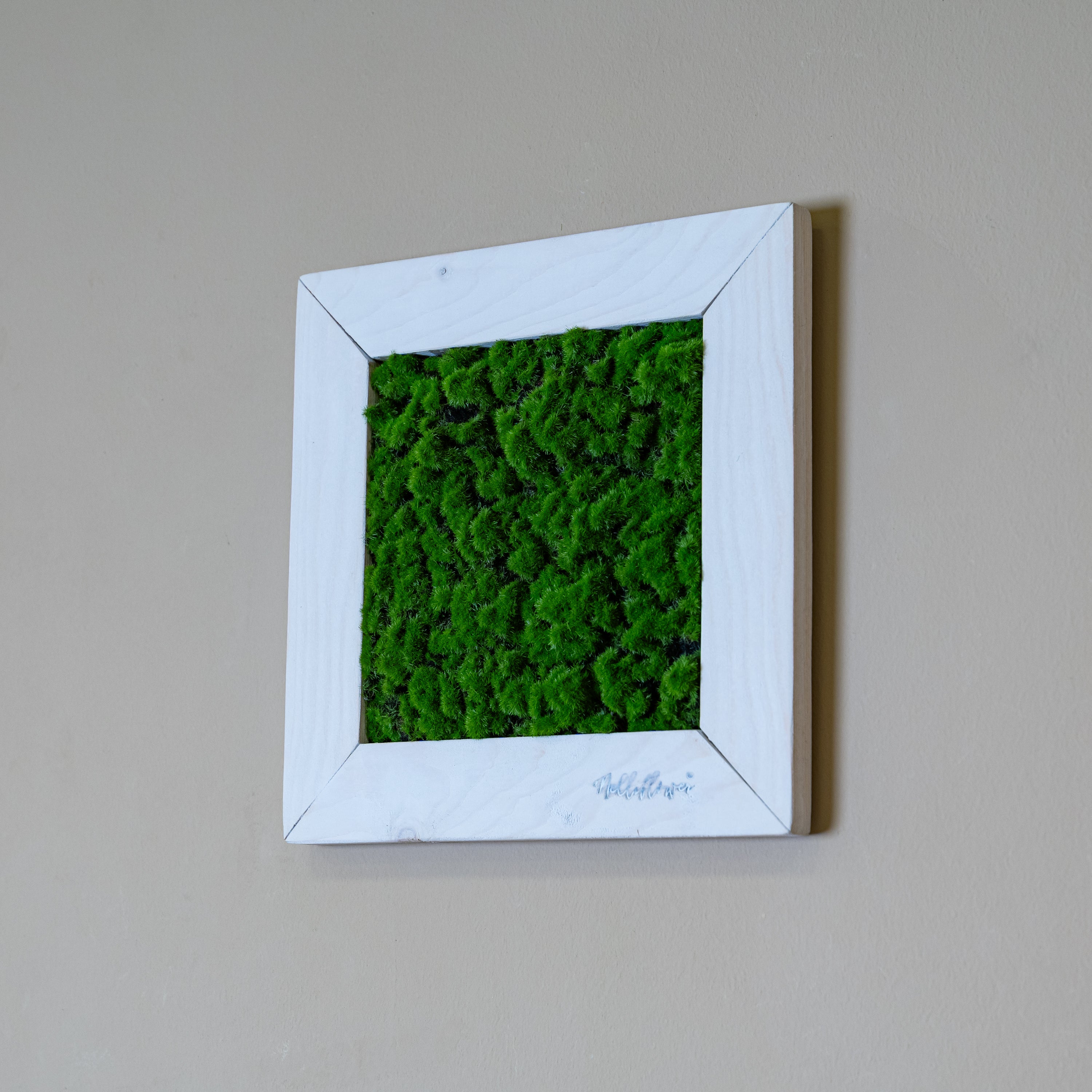 Tiny Frame Myra mit künslichen Moos in weißen Holzrahmen