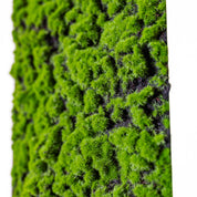 Nahaufnahme künstliches Moosbild in weißen Holzrahmen