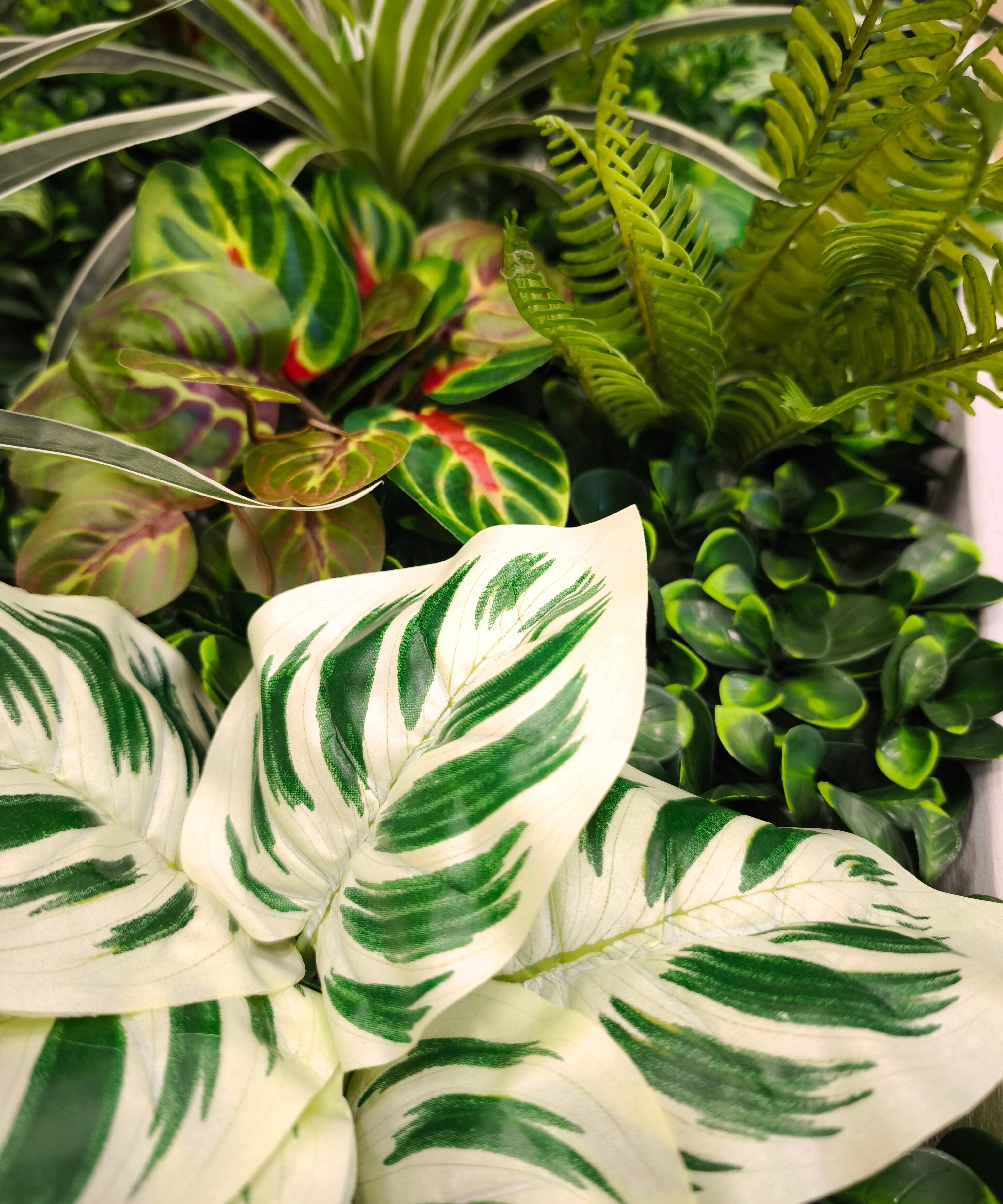 Nahaufnahme Nublar Plantframe 