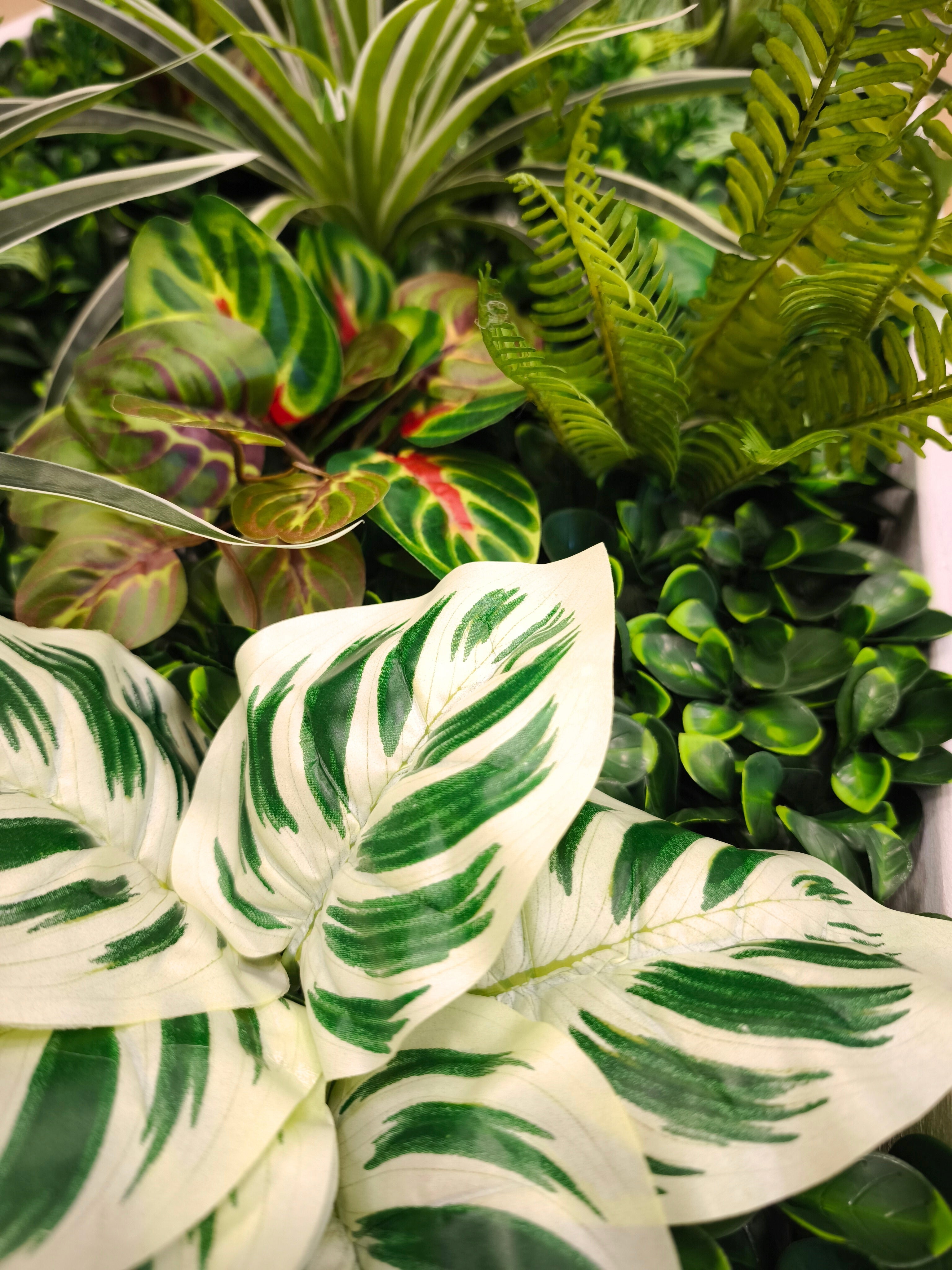 Nahaufnahme Nublar Plantframe 