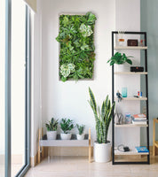 Plant Frame „Nublar“ - Künstliches Pflanzenbild im Jungle-Look aus Realtouch-Kunstpflanzen