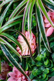 Plant Frame „Ophelia“ - Rundes Pflanzenbild im modernen Kupferrahmen