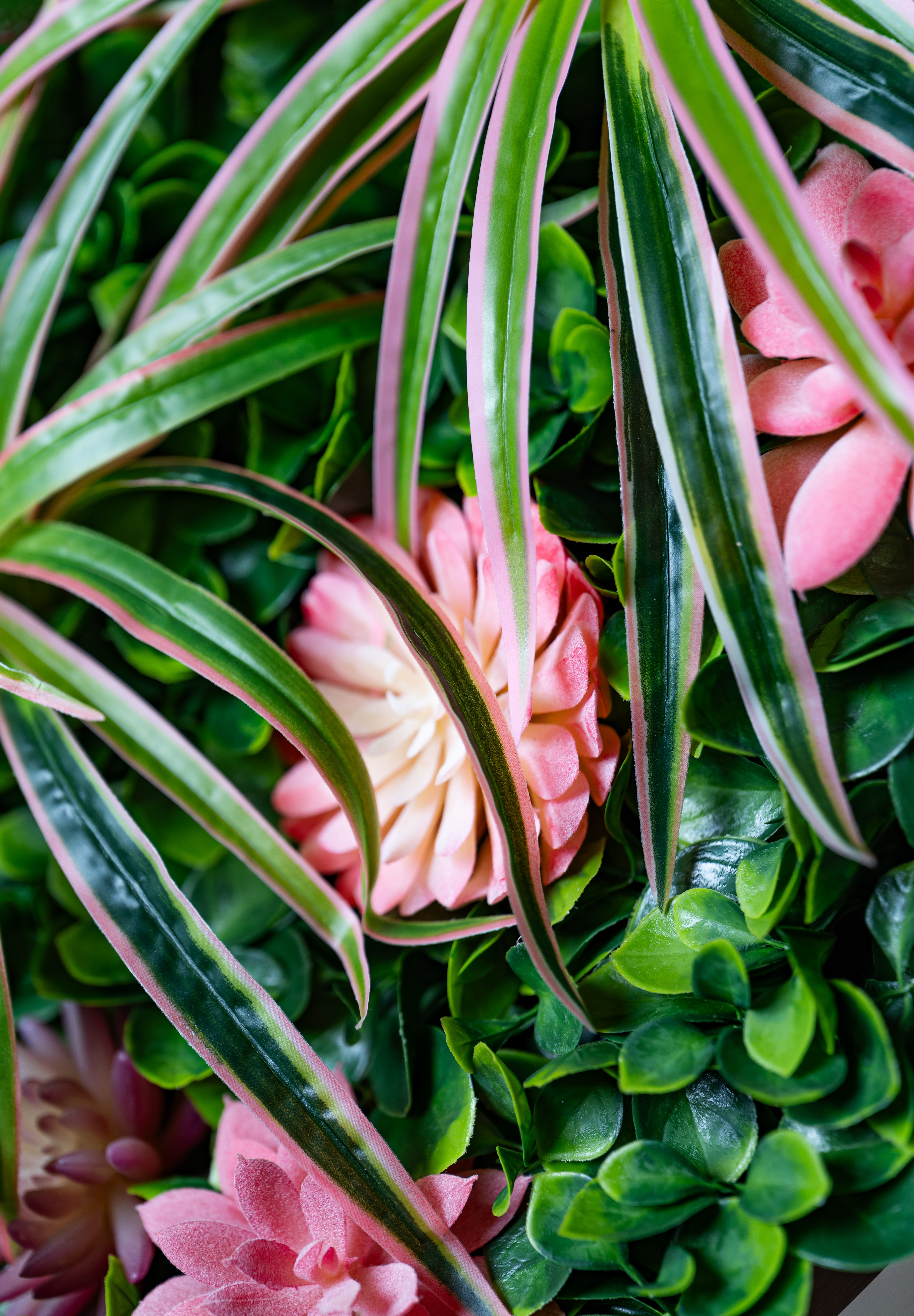 Plant Frame „Ophelia“ - Rundes Pflanzenbild im modernen Kupferrahmen