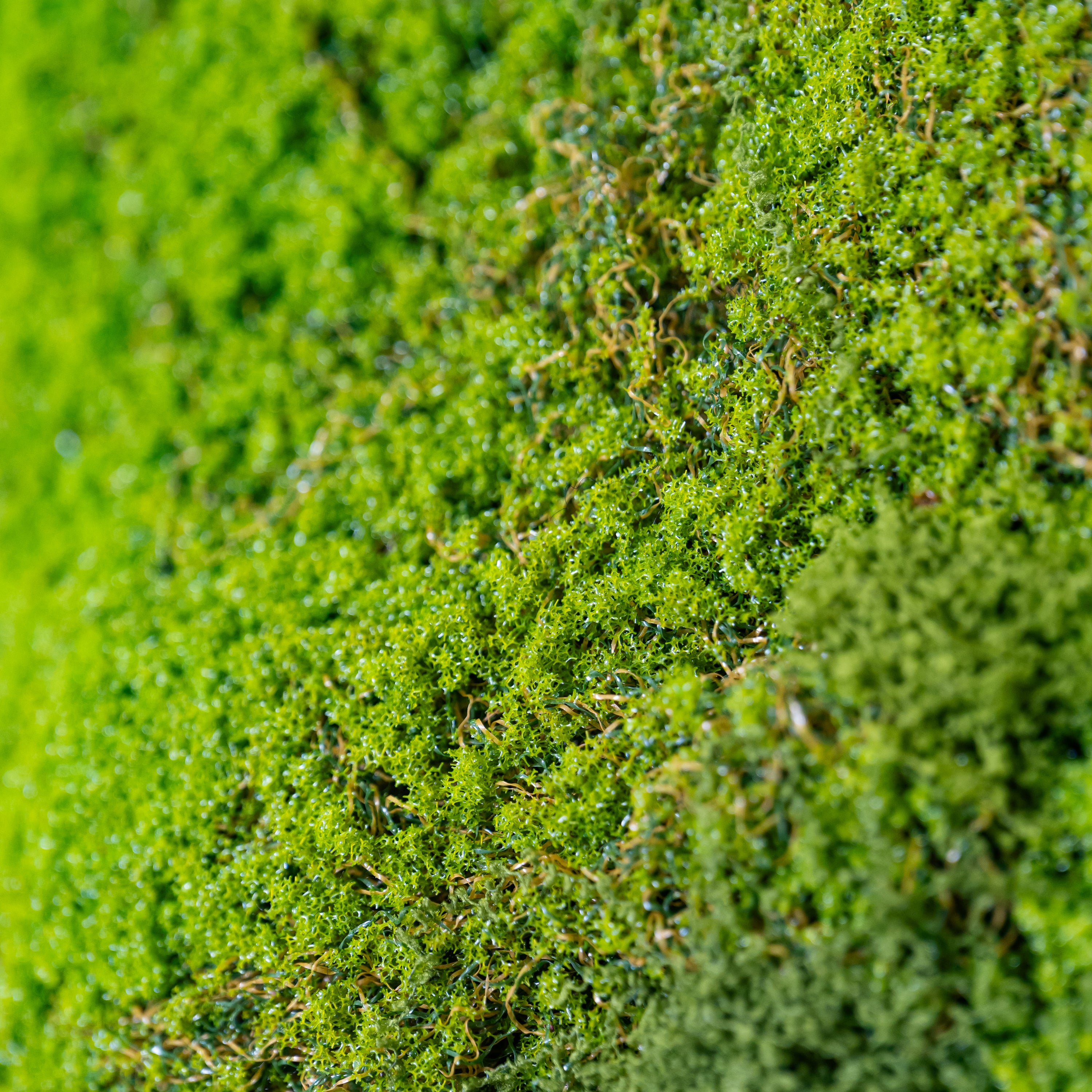 Nahaufnahme künstliches Moos