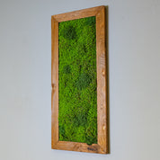 künstliches Moosbild in braunen Holzrahmen
