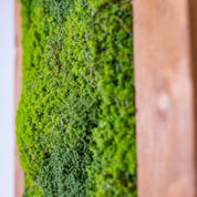 Plant Frame „Lauenwald“ - Handgefertigtes Moosbild im Echtholzrahmen