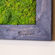 Detailaufnahme eines Moosbildes mit dunkelgrauem Holzrahmen und eingraviertem Logo