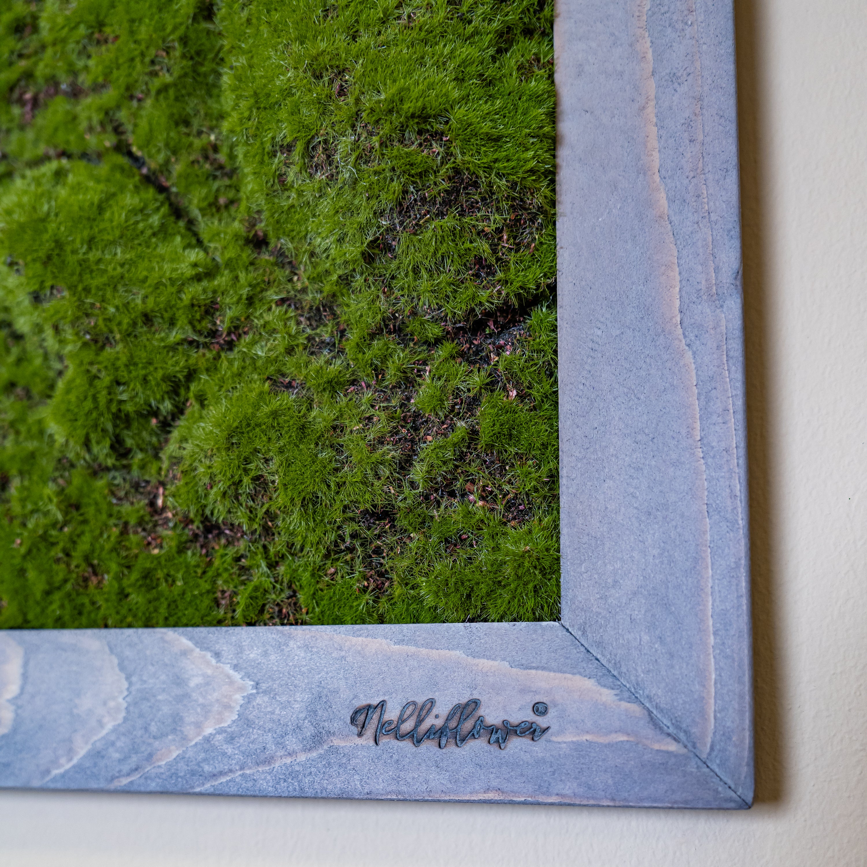 Nahaufnahme künstl. Moosbild in aschgrauen Holzrahmen