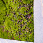 Nahaufnahme künstl. Moosbild in aschgrauen Holzrahmen