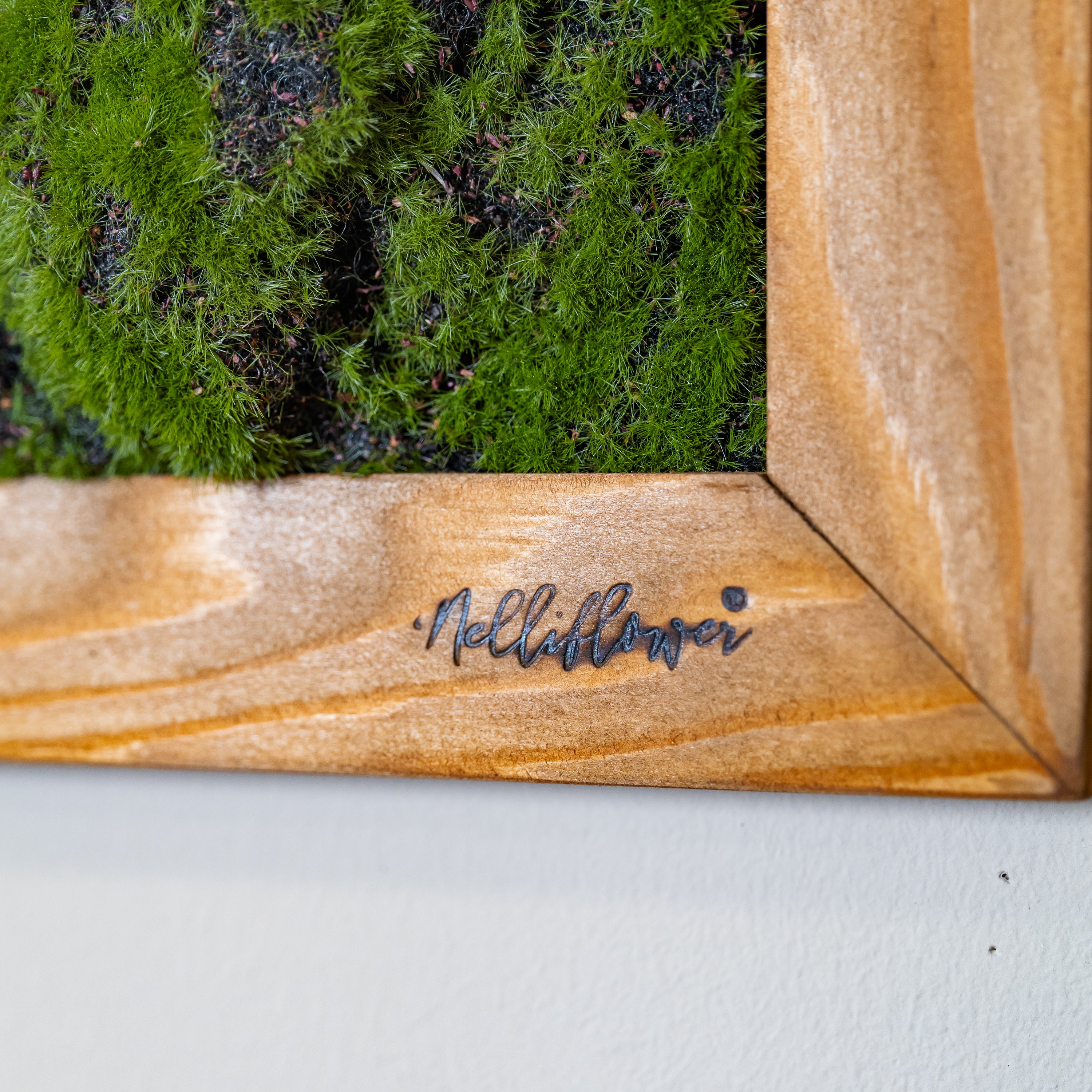 Nahaufnamen künsltiches Moosbild in braunen Holzrahmen