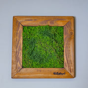 Quadratisches Moosbild im rustikalen Echtholzrahmen
