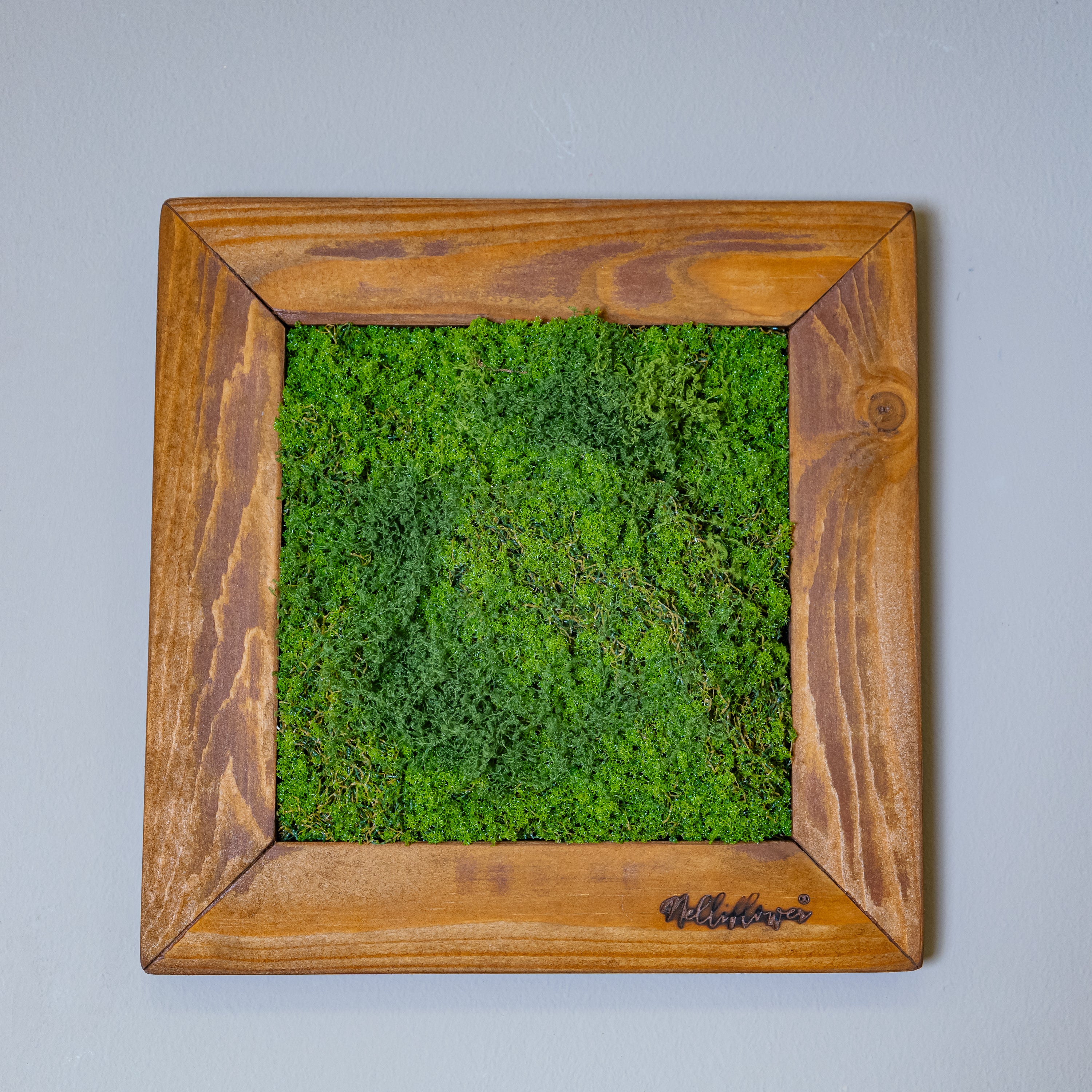Quadratisches Moosbild im rustikalen Echtholzrahmen