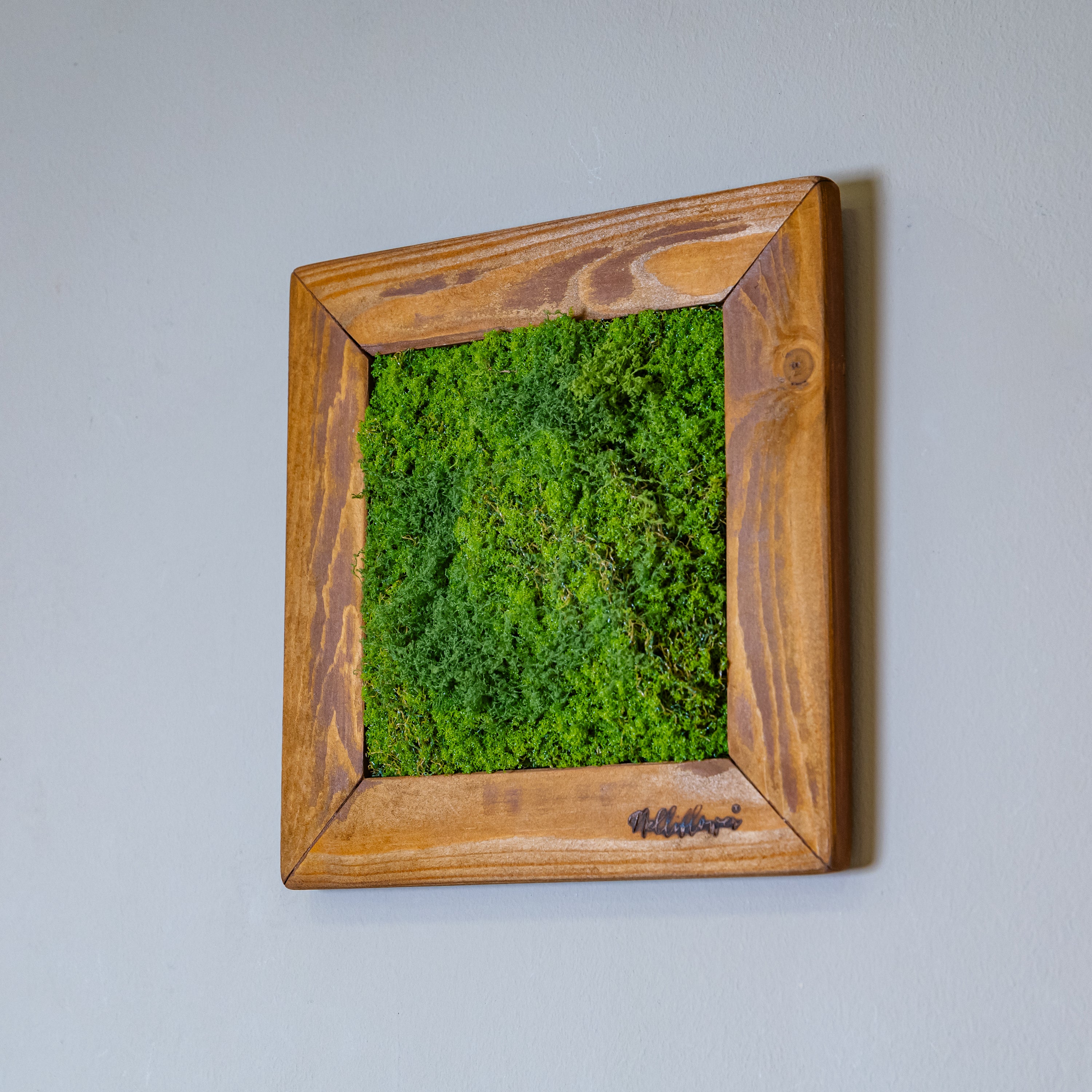 Plant Frame „Lauenwald“ - Handgefertigtes Moosbild im Echtholzrahmen